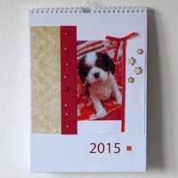 Scrapbook Kalendář 2015
